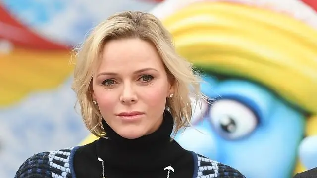 Новая теория считает, что «пробки» в струйном течении вызывают аномальные погодные условия: исследование объясняет явление блокировки, которое сбило с толку синоптиков