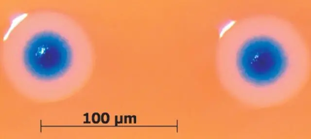 Фотосинтетический двигатель для искусственных клеток: исследователи разработали клеточную структуру, которая использует фотосинтез для выполнения дизайнерских реакций