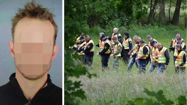 Муравьи дают ключ к разгадке того, почему биоразнообразие выше в тропиках: новые глобальные данные о распространении беспозвоночных предполагают, что время является ключом к видовому разнообразию