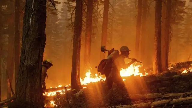 Нарастающая жара разгоняет облака, которые гасят лесные пожары в Калифорнии: урбанизация и изменение климата усиливают опасность