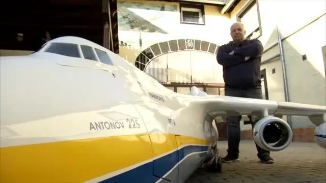 Самый маленький из крупнейших динозавров-теропод: новая окаменелость из Африки представляет собой маленькую молодую особь огромного спинозавра с парусом