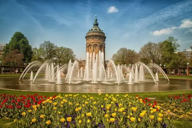 Ученые показали, как бактерии туляремии обманывают клетки, вызывая заболевание