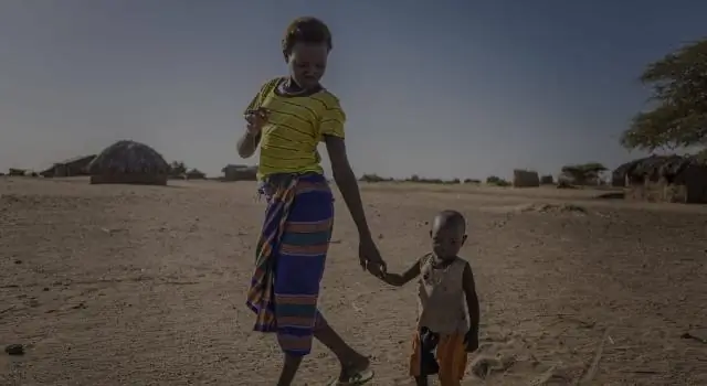 Изменение климата увеличивает риск возникновения пожаров, вызванных молнией