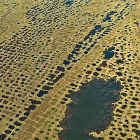 Широко распространенный метан просачивается у побережья Орегона