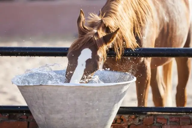 Прохладная погода может усилить атаки жуков-короедов