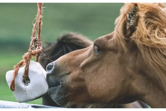 Сомнение в прогностической ценности форшоков землетрясений