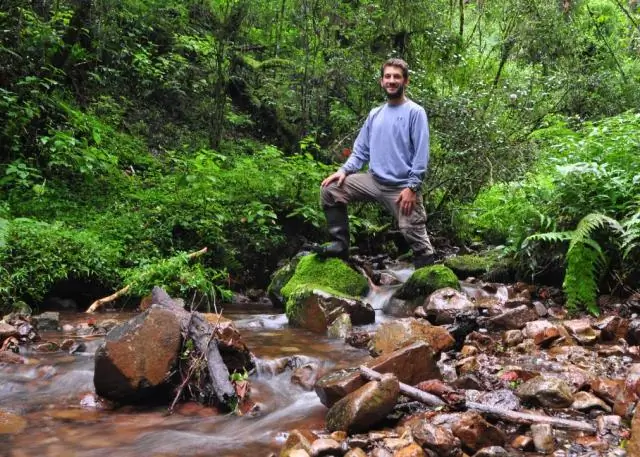 Нашествие токсичных жаб подвергает риску хищников Мадагаскара, подтверждают генетические данные