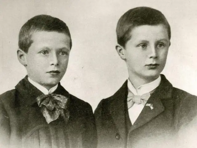 Спровоцировали ли Кембрийский взрыв экстремальные колебания содержания кислорода, а не его постепенное повышение?