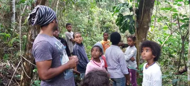 Так же, как и люди, эти обезьяны могут планировать свои маршруты но большинство предпочитает этого не делать