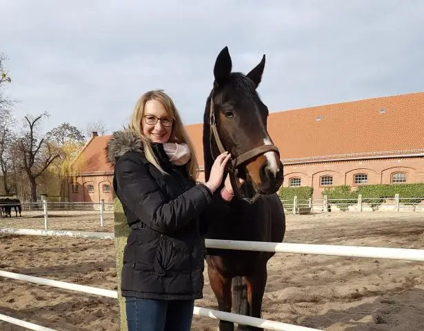 Новый способ оценки магмы под Йеллоустонским супервулканом: «Это говорит нам о том, что нагревает котел»
