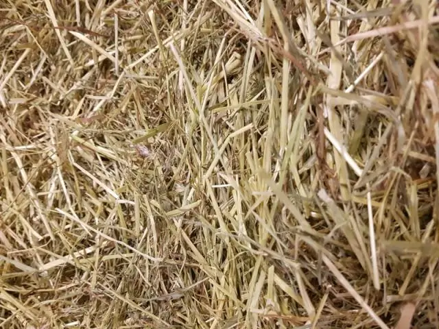 Для мерцания внешний вид может быть обманчивым