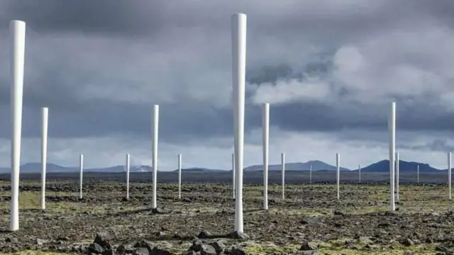 Самки летучих мышей судят о певце по его песне