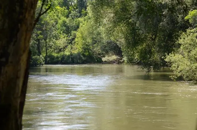 Ученые ошеломлены исчезновением птиц во время эпического путешествия по Южной Африке: хищные птицы быстро исчезают из одного из последних больших диких районов Африки
