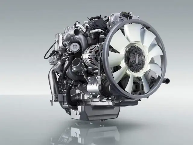 Ученые видят внутреннюю работу фермента теломеразы, который играет ключевую роль в старении и раке: детальное изучение его ядра может привести к разработке таргетных лекарств