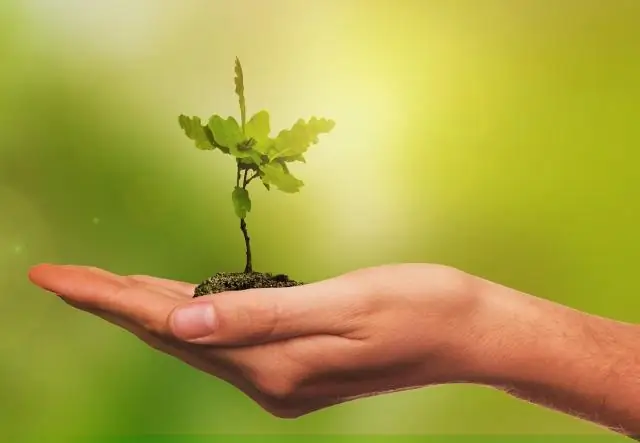 Насколько сильно туризм дикой природы влияет на животных, на которые он нацелен?