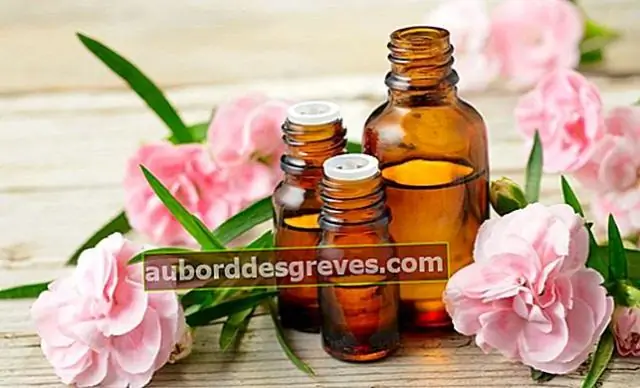 Эфирные масла для борьбы с бактериальными инфекциями