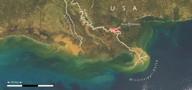 Мертвая зона Мексиканского залива, по прогнозам, превысит размер Коннектикута