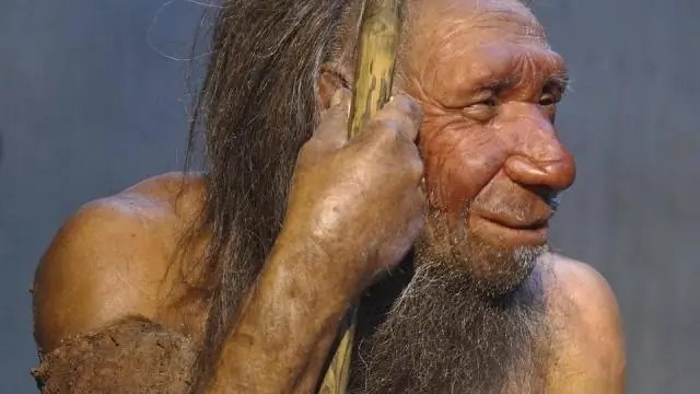 Первые четвероногие животные Африки жили в пределах девонского полярного круга: два новых вида являются самыми ранними известными четвероногими позвоночными в Африке