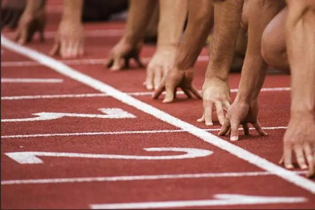 Секрет охоты на китовых акул