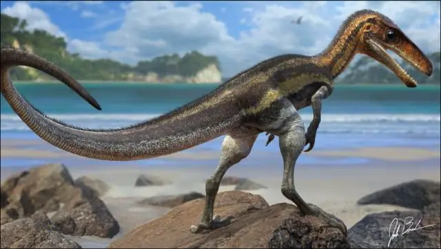 Выдающееся мастерство черепных хирургов древнего Перу