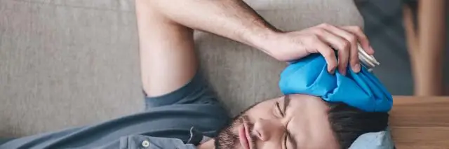 Ветеранам с посттравматическим стрессовым расстройством, использующим служебных собак, могут оказывать положительное физиологическое воздействие