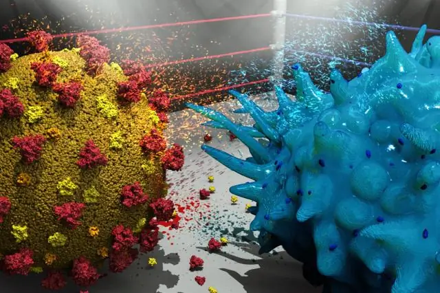 Сетевая биология выявляет мишени патогенов на модельном растении Arabidopsis thaliana