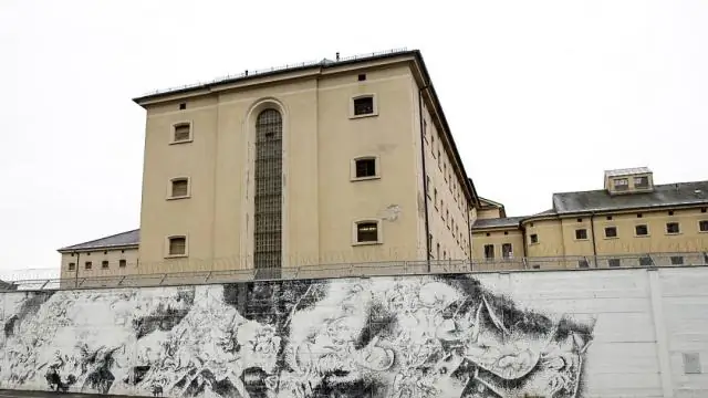 Наблюдение за белковыми фабриками клетки во время самосборки: изображения, полученные с помощью электронной микроскопии, дают важную информацию о сборке рибосом