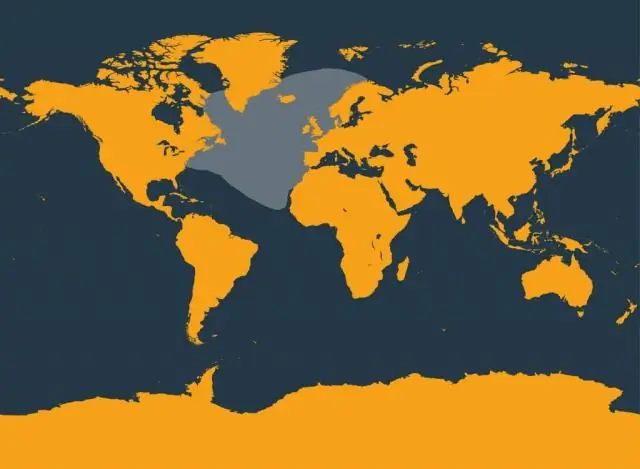 Крупномасштабный китобойный промысел на севере Скандинавии может быть восходит к 6 веку