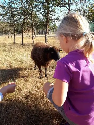 Древняя сельскохозяйственная деятельность вызвала устойчивые изменения окружающей среды