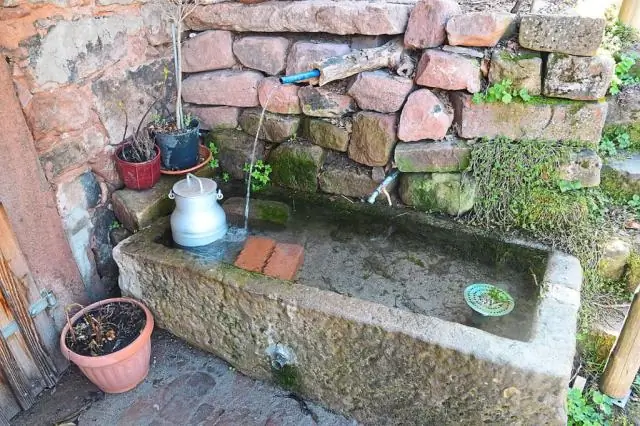 Кто виноват в морском мусоре? Отношение общества к растущему глобальному кризису