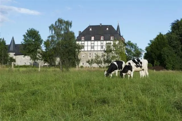 Интенсификация сельского хозяйства не является «схемой» устойчивого развития