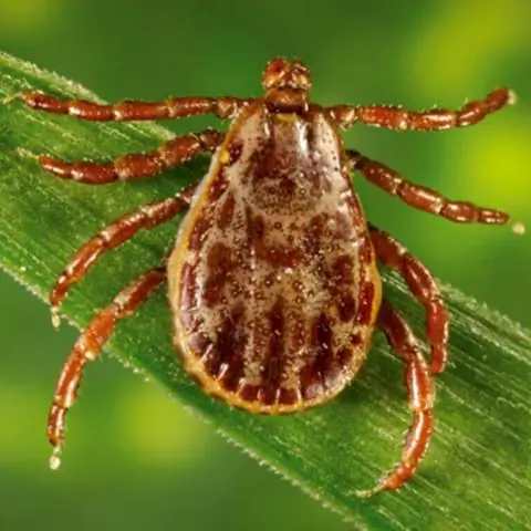 Высохшие русла рек способствуют изменению климата больше, чем считалось ранее