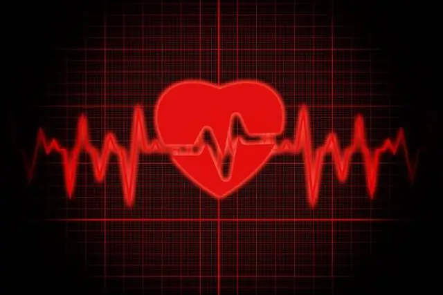 Кишечные микробы могут способствовать депрессии и беспокойству при ожирении: исследование на мышах связывает кишечные микробы с признаками негативных чувств и химией мозга