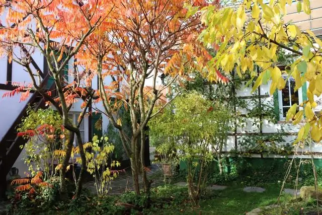 Большое исследование на открытом воздухе показывает, что биоразнообразие повышает стабильность биотопливных систем водорослей