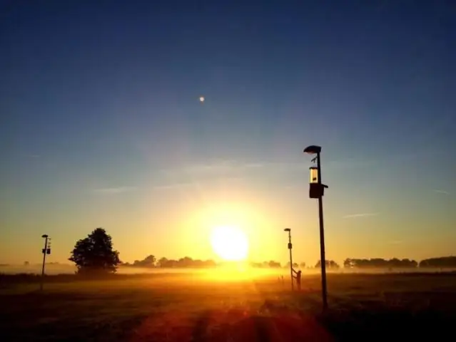 Световое загрязнение – причина сокращения численности насекомых: искусственное освещение в ночное время может быть причиной сокращения популяции насекомых