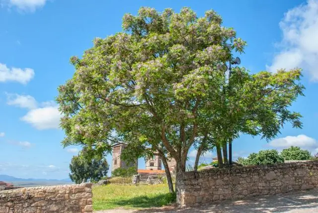 Климатические действия могут ограничить растущую нехватку воды в Азии: выполнение Парижских соглашений может снизить риск серьезных проблем с доступом к воде