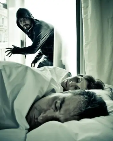 Исследования по сохранению львов могут быть подкреплены вкладом широкого круга профессионалов