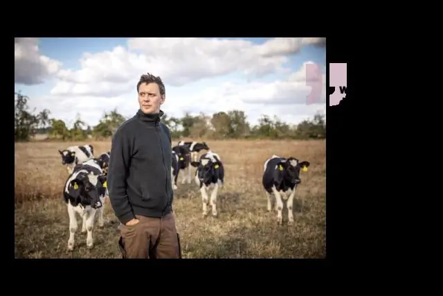 Выдерживает ли пшеница аномальную жару: компьютерные модели помогают прогнозировать реакцию растений на сложные температуры