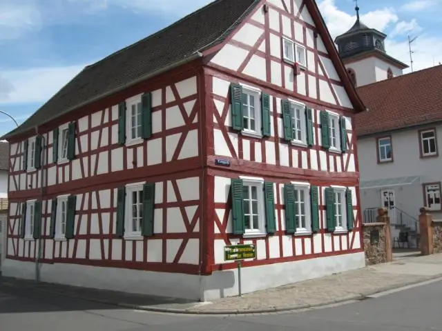 Окаменелости показывают, что у древних приматов были не только ногти, но и когти для ухода: почему их нет у нас? Может потому что мы есть друг у друга