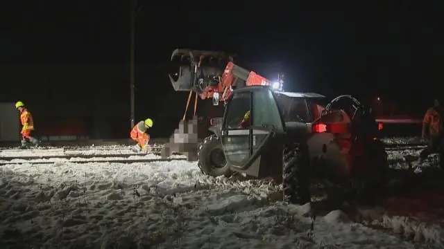 Неоники попадают в организм животных, живущих на свободном выгуле