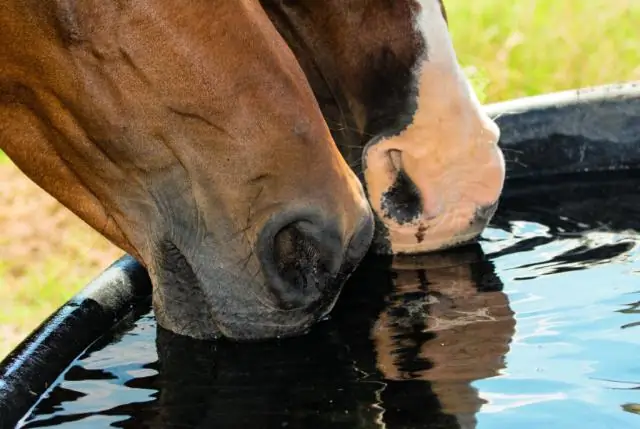 Морские запасы жизненно важны, но находятся под давлением