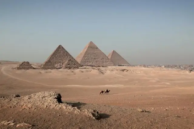 Расшифрованы первые древние геномы сифилиса