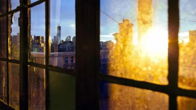 Использование рыбы электричества может пролить свет на болезни человека