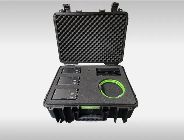 Мыши не только испытывают сожаление, но и учатся избегать его в будущем: Мыши принимают и меняют свои решения, чтобы избежать сожаления в будущем