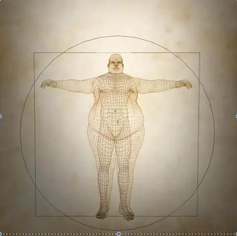 Ученые узнают, как работает противовирусный ген: находка может стать основой для новых сильнодействующих лекарств