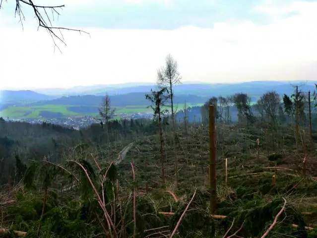 Усиление штормов может иметь «катастрофические последствия» для рыбной промышленности