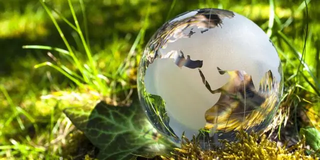 Обязательная маркировка снижает опасения по поводу ГМО-продуктов