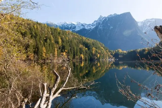 Летние мертвые зоны в Чесапикском заливе разрушаются раньше: пополнение запасов кислорода в конце сезона связано со снижением нагрузки питательными веществами