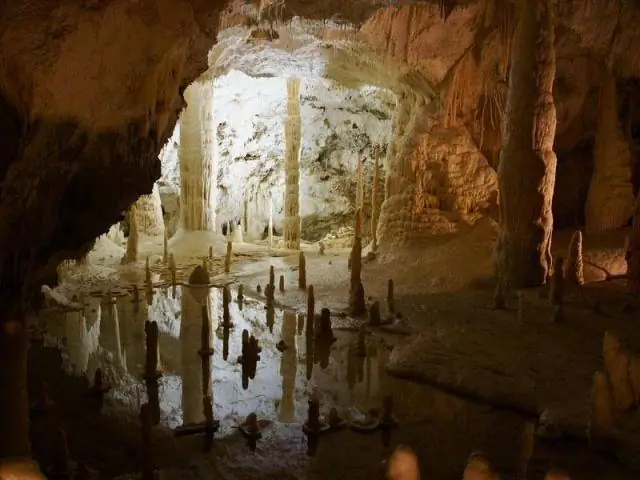 Из тьмы: новый паук найден глубоко в пещере Индианы