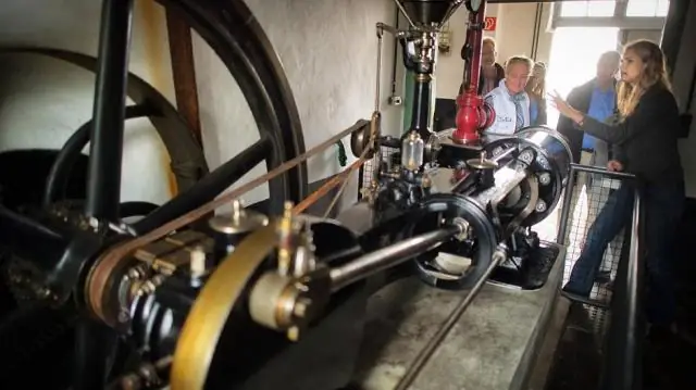 Древние марокканские зубные останки проливают свет на историю давно утраченной африканской фауны